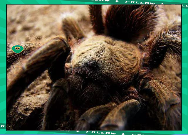 亚博体育-莱万多夫斯基赛事官方发布比分优势明显新规，湖人争议不断！的简单介绍